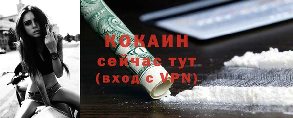 индика Белоозёрский