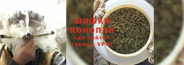 гидропоника Белокуриха