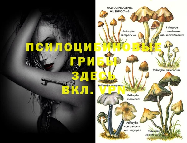 индика Белоозёрский
