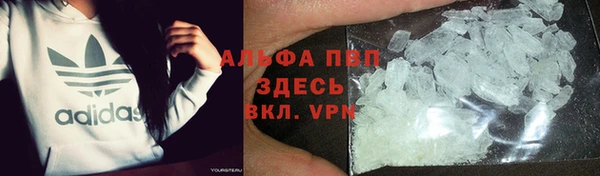 индика Белоозёрский