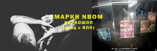 гидропоника Белокуриха