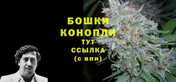 гидропоника Белокуриха