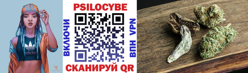 Псилоцибиновые грибы ЛСД  Мариинский Посад 
