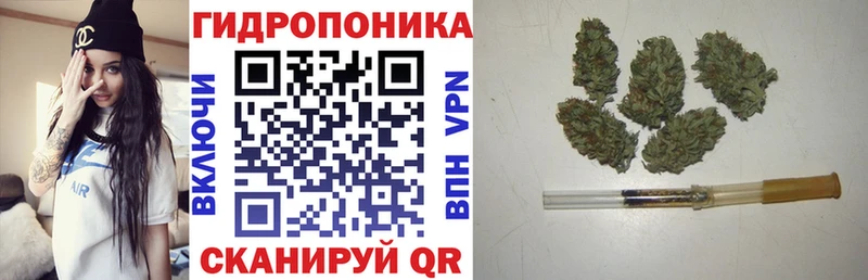 Конопля SATIVA & INDICA  магазин продажи наркотиков  Мариинский Посад 